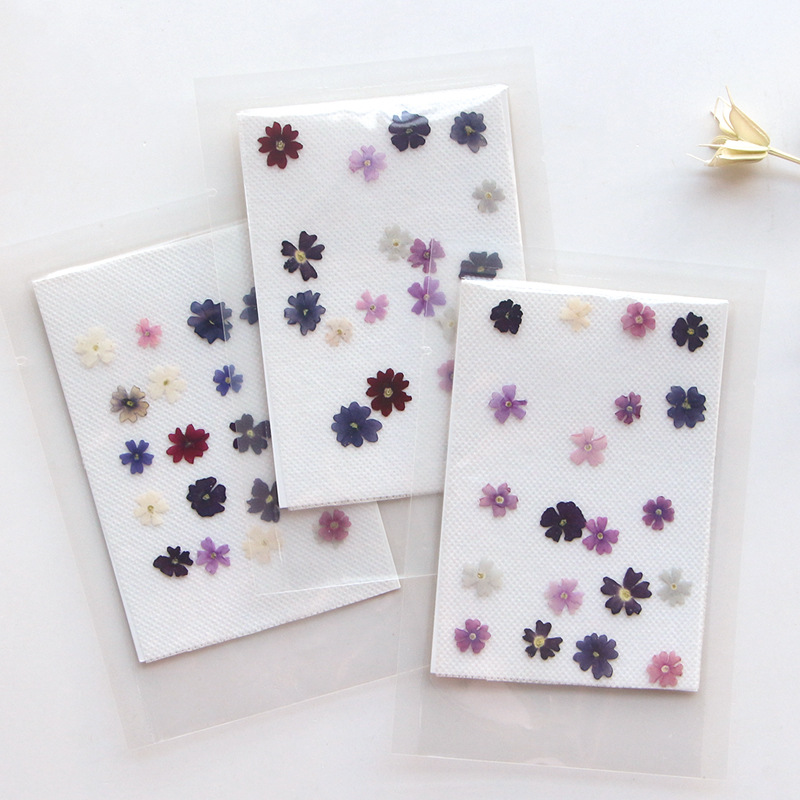 Pressed Flower Frame - 40 pz/lotto, Mini Bellezza Cherry pressato