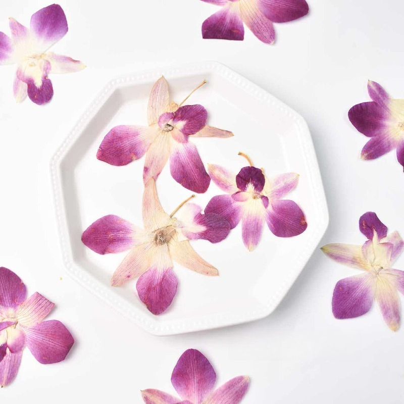 Pressed Flower Frame - 4 Pezzi, Fiori di Orchidea Farfalla