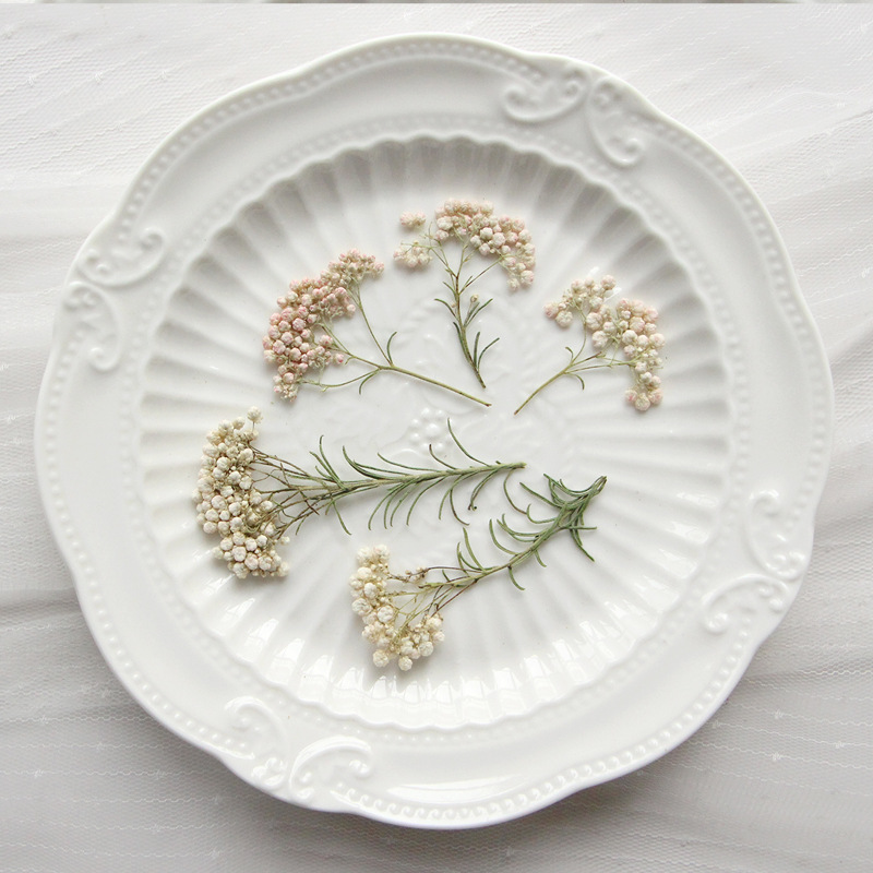 Pressed Flower Frame - 12 Pezzi, Rami di Miglio Naturale,