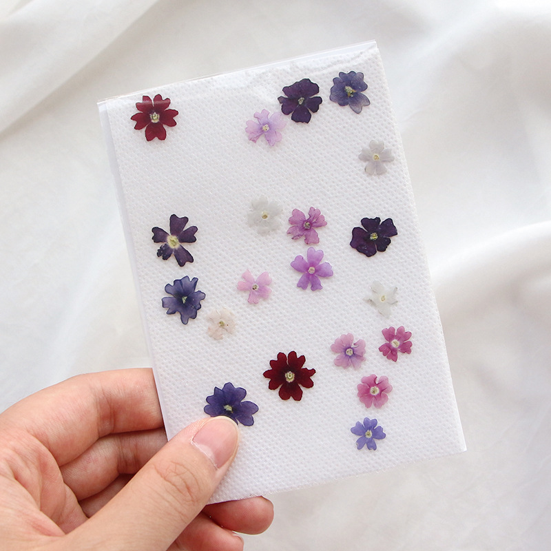 40 pz/lotto, Mini Bellezza Che - Pressed Flower Frame recensione e prezzo
