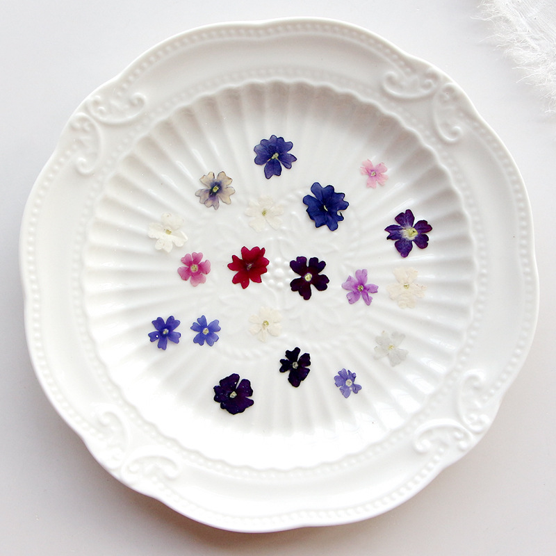 40 pz/lotto, Mini Bellezza Che - Pressed Flower Frame recensione e prezzo