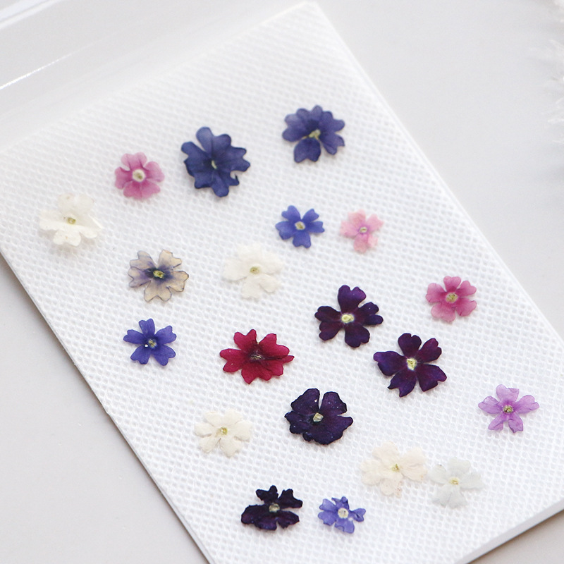 40 pz/lotto, Mini Bellezza Che - Pressed Flower Frame recensione e prezzo