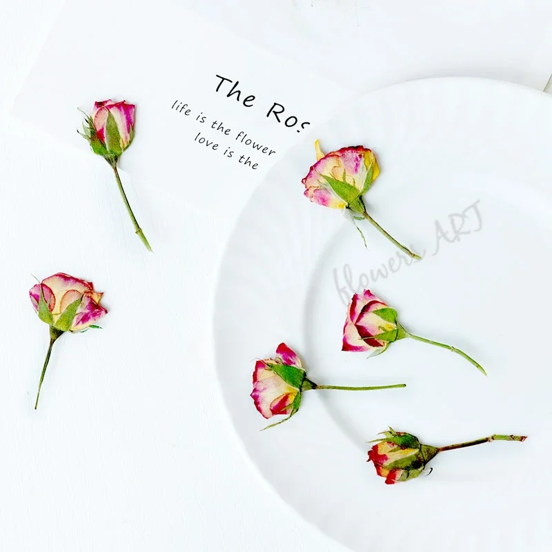 Petali di Rosa Pressati, Fiori - Pressed Flower Frame recensione e prezzo