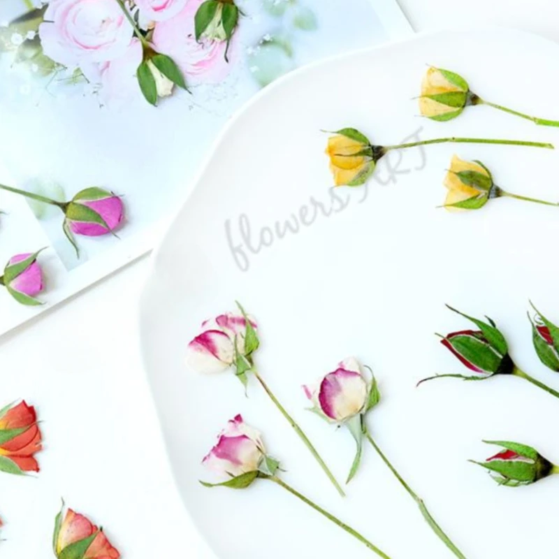 Petali di Rosa Pressati, Fiori - Pressed Flower Frame recensione e prezzo