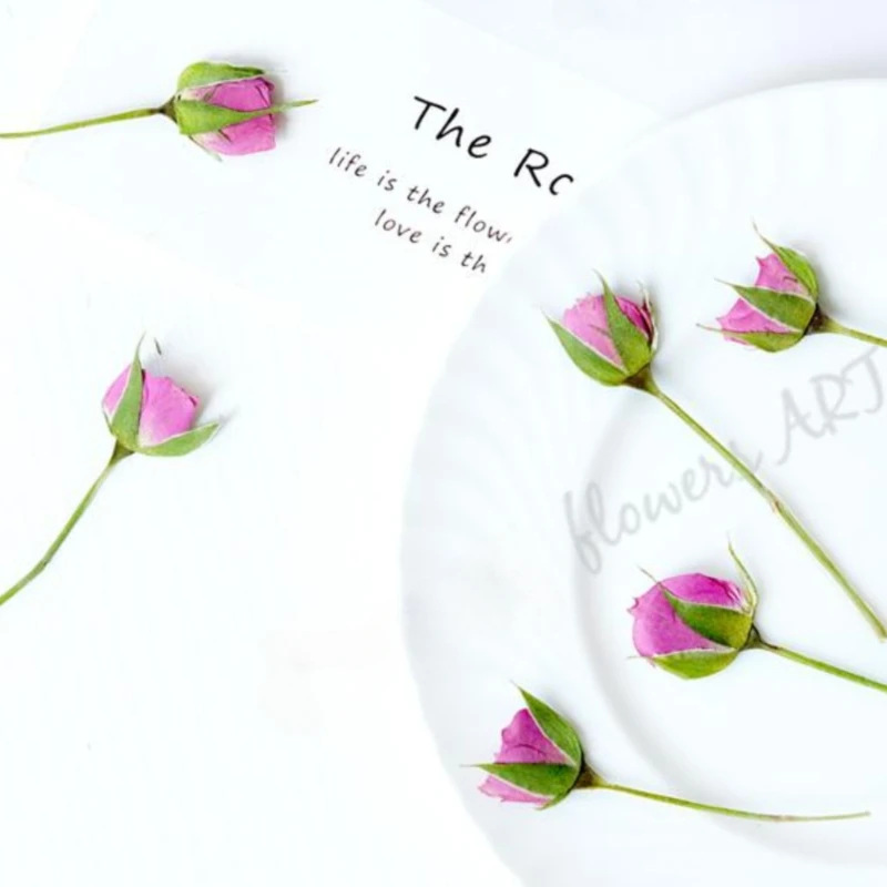 Petali di Rosa Pressati, Fiori - Pressed Flower Frame recensione e prezzo