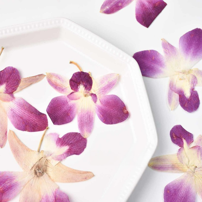 4 Pezzi, Fiori di Orchidea Far - Pressed Flower Frame recensione e prezzo