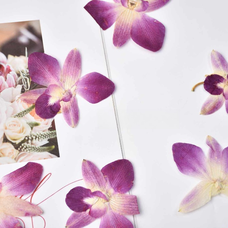 4 Pezzi, Fiori di Orchidea Far - Pressed Flower Frame recensione e prezzo