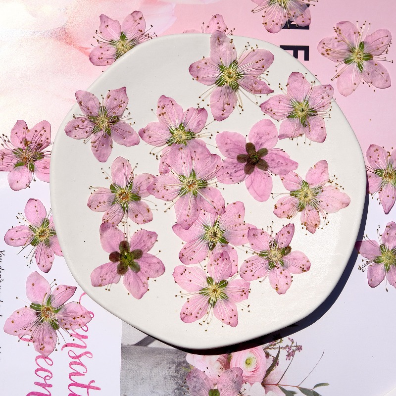 Fiori di pesco pressati ed ess - Pressed Flower Frame recensione e prezzo