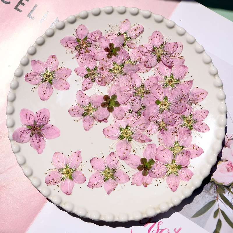 Fiori di pesco pressati ed ess - Pressed Flower Frame recensione e prezzo
