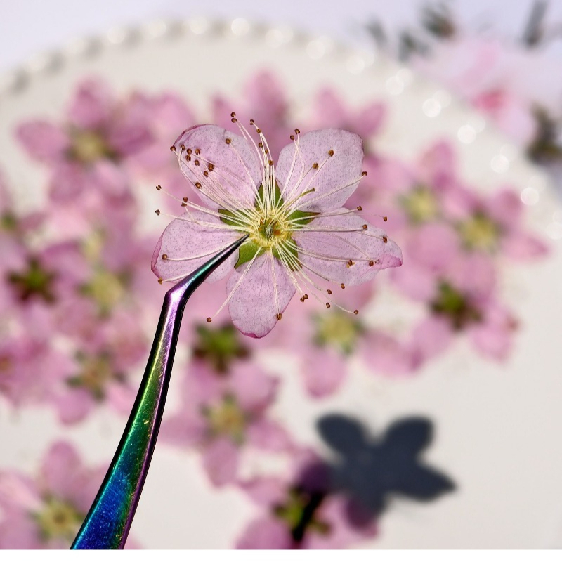 Fiori di pesco pressati ed ess - Pressed Flower Frame recensione e prezzo