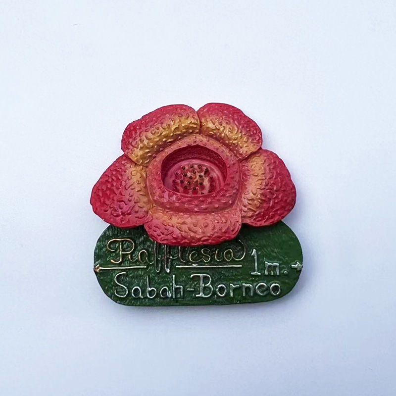 Malesia Sabah Borneo Rafflesia - Home Decor Malaysia recensione e prezzo
